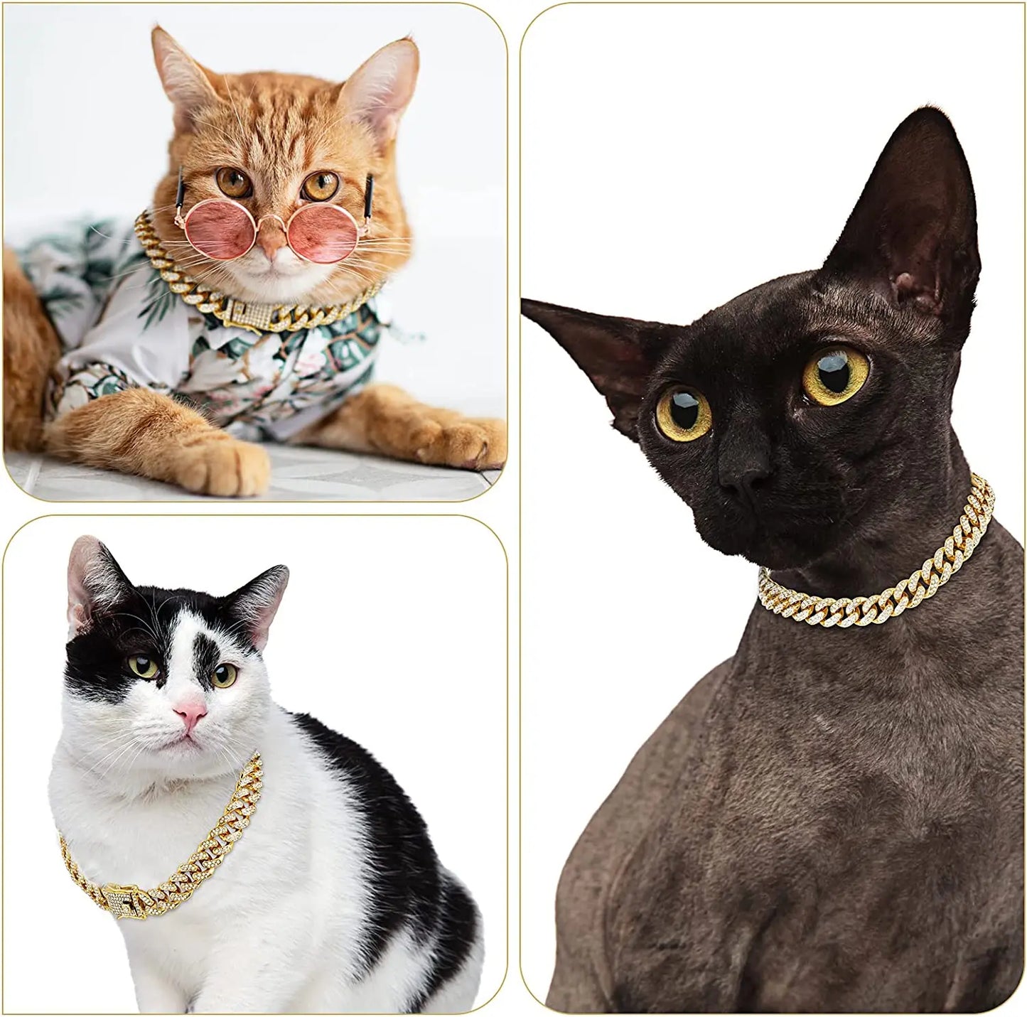 Luxury Cuban Pet Chain